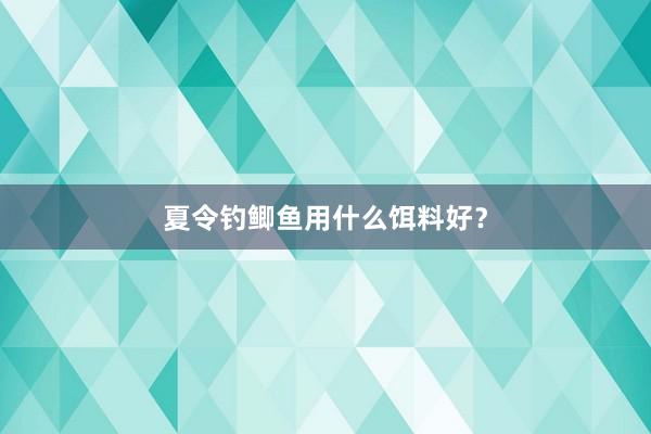 夏令钓鲫鱼用什么饵料好?
