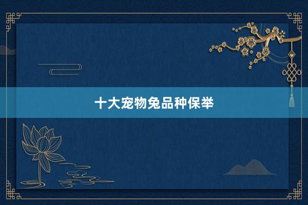十大宠物兔品种保举