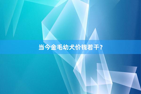 当今金毛幼犬价钱若干？