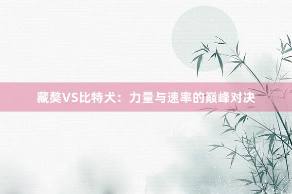 藏獒VS比特犬：力量与速率的巅峰对决