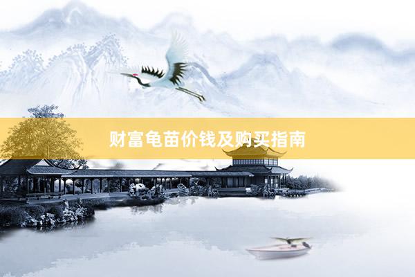 财富龟苗价钱及购买指南