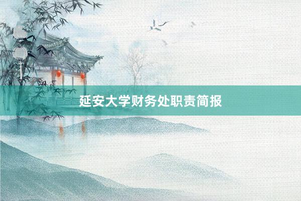 延安大学财务处职责简报