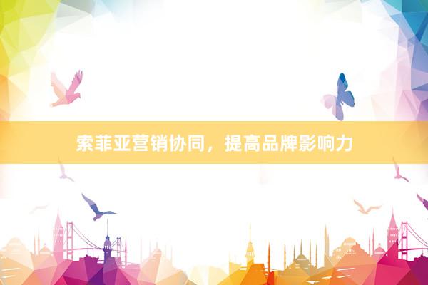 索菲亚营销协同，提高品牌影响力